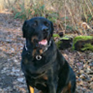 Meet your Posher, Rupa